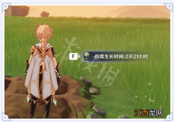 原神尘歌壶种菜任务 原神尘歌壶种菜怎么玩