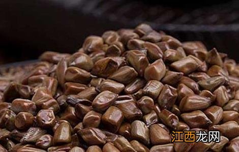 决明子泡水喝的功效 决明子泡水喝的功效与作用禁忌