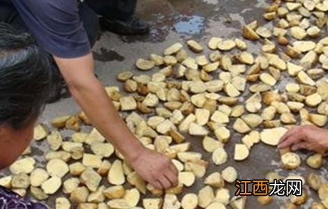 冬季土豆种植技术 土豆种植技术