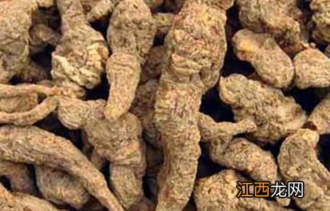 地黄的炮制方法有哪些 地黄的炮制方法