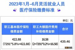 大连灵活就业人员医保缴费标准2023 大连灵活就业人员医保缴费标准2023年度