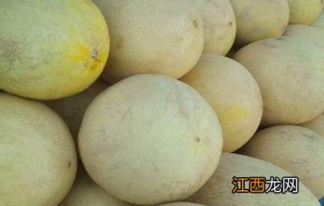 哈密瓜苗期病害 哈密瓜死苗是怎么回事