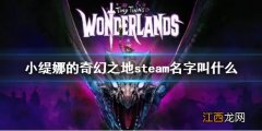 小缇娜的奇幻之地和无主之地 小缇娜的奇幻之地steam名字叫什么