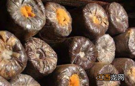 银耳的病虫害防治方法 银耳有虫怎样处理