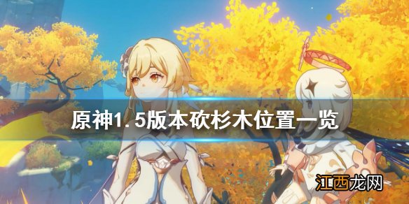 原神杉木在哪里 原神杉木在哪里买