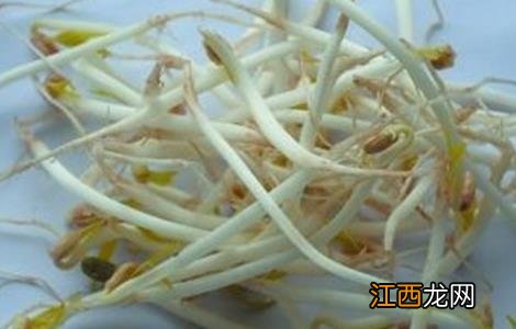 豆芽烧根的防治措施视频 豆芽烧根的防治措施