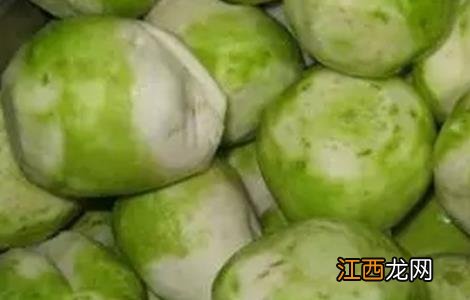 芥菜疙瘩怎么种法什么时间种 芥菜疙瘩怎么种