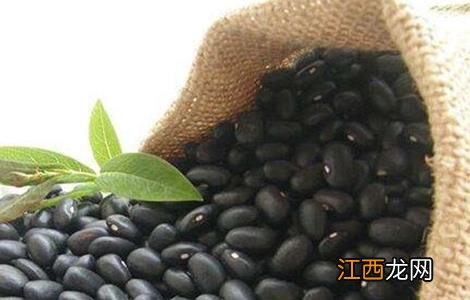 黑豆种植注意事项 黑豆种植注意事项和禁忌