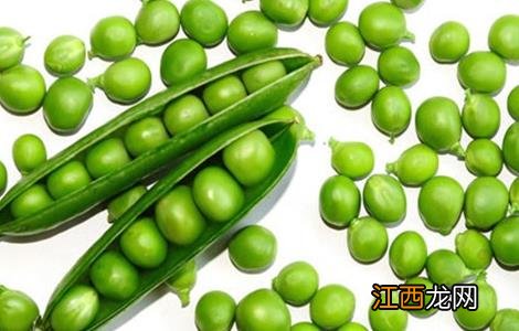 怎样种植豌豆 怎样种植豌豆尖