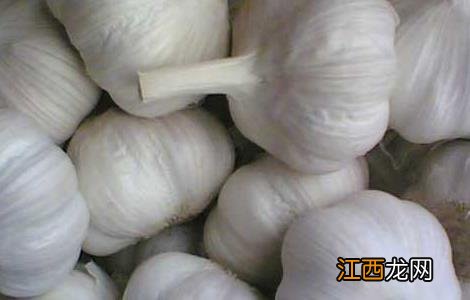 大蒜何时传入中国 大蒜什么时候传入中国