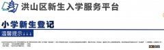 洪山区新生入学服务平台查询 2023洪山区新生入学服务平台官网