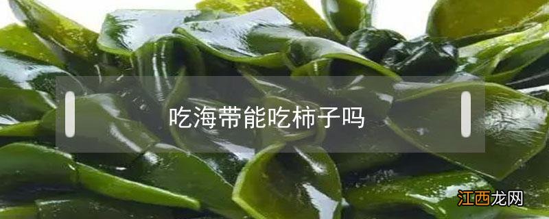 吃海带可以吃柿子吗? 吃海带能吃柿子吗