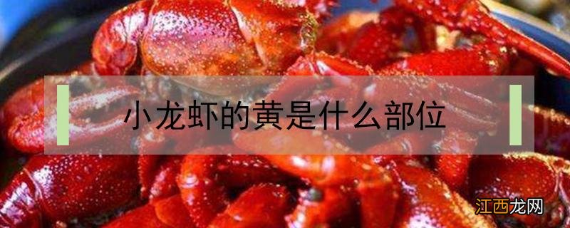 小龙虾哪里是黄 小龙虾的黄是什么部位