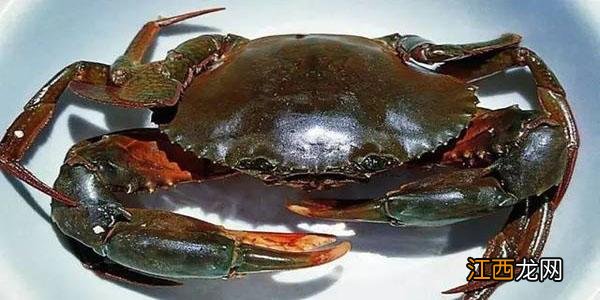 鲟蟹和螃蟹有什么区别 鲟与蟹的区别
