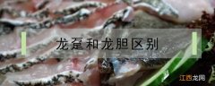 龙趸和石斑鱼哪个肉嫩 龙趸和石斑鱼区别