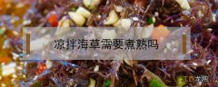 凉拌海草冷冻后需要煮熟吗 凉拌海草需要煮熟吗