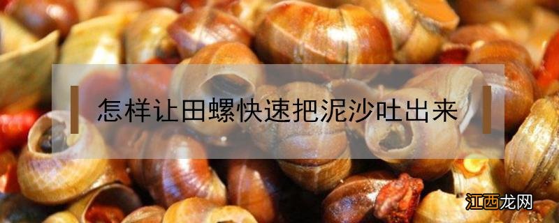 怎样让田螺快速把泥沙吐出来 怎样快速让田螺吐出泥巴