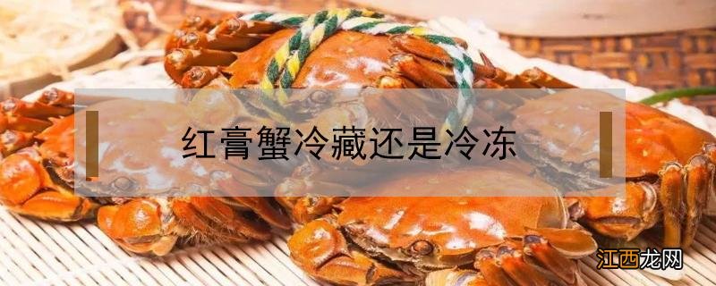 红膏炝蟹冷冻还是冷藏 红膏蟹冷藏还是冷冻