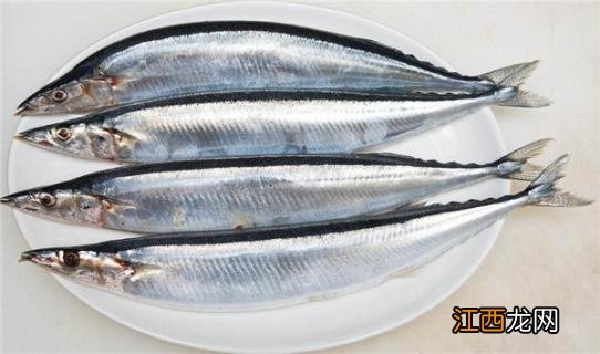 什么是油鲅鱼 鲐鲅鱼和油鲅鱼的区别