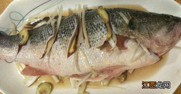 清蒸鲈鱼正宗做法 清蒸鲈鱼正宗做法 家常