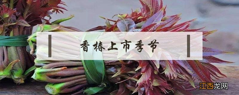 香椿上市季节 香椿什么季节上市