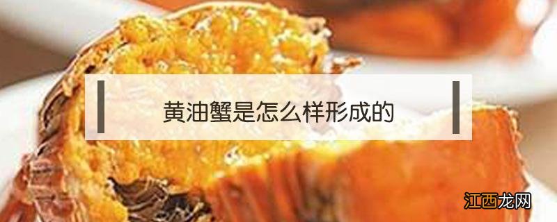 黄油蟹是怎么样形成的 黄油蟹是怎么样形成的膏