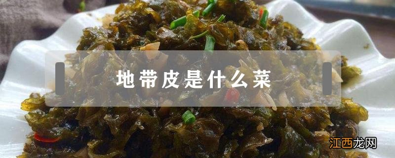 皮外皮是什么菜 地带皮是什么菜