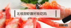 北极甜虾腹籽能吃吗 北极甜虾腹籽能生吃吗