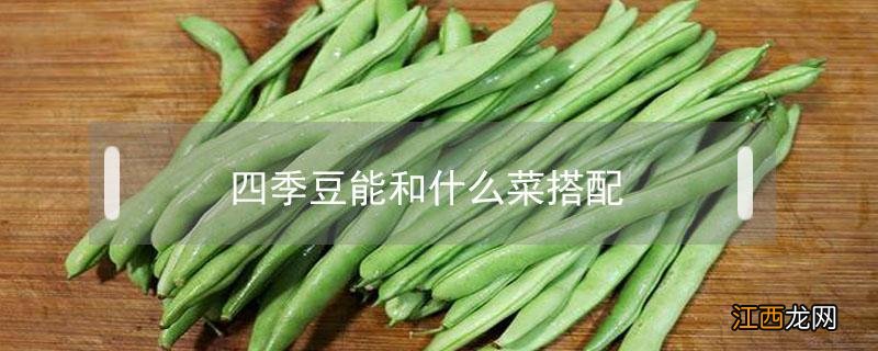 四季豆能和什么菜搭配 四季豆可以和什么配菜