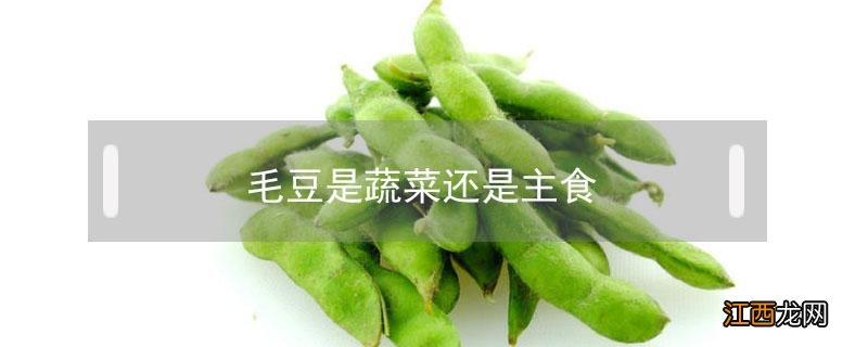 毛豆算是主食吗 毛豆是蔬菜还是主食