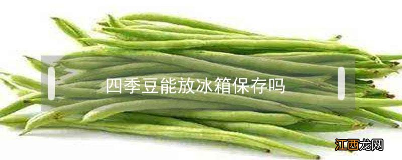 四季豆可以放冰箱冷藏吗 四季豆能放冰箱保存吗