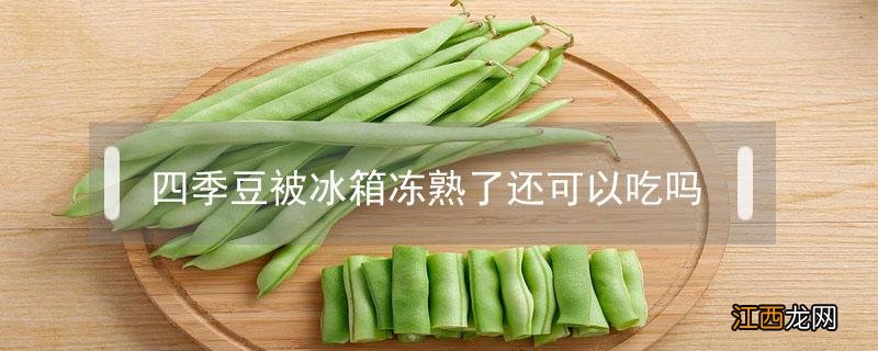 冻熟的四季豆还能吃吗 四季豆被冰箱冻熟了还可以吃吗