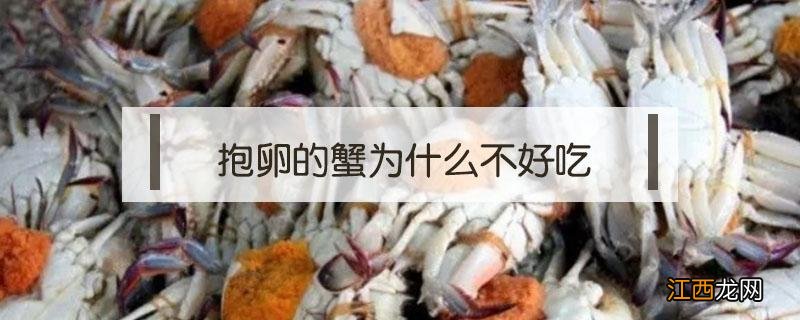 螃蟹有卵吗 抱卵的蟹为什么不好吃