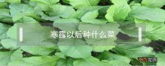 寒露以后种什么菜 寒露过后还能种什么菜