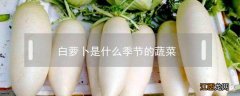 白萝卜是什么季节的蔬菜 白菜和萝卜是什么季节的菜