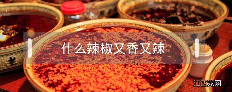 什么辣椒又香又辣 什么辣椒又香又辣又不烧心