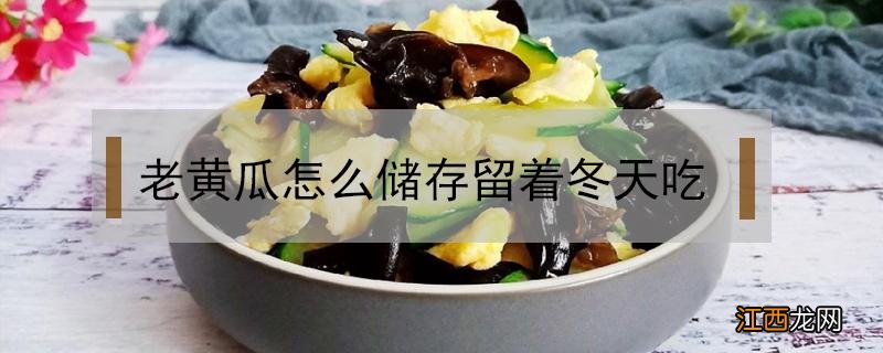 老黄瓜怎么储存留着冬天吃 老黄瓜怎么保存到冬天吃