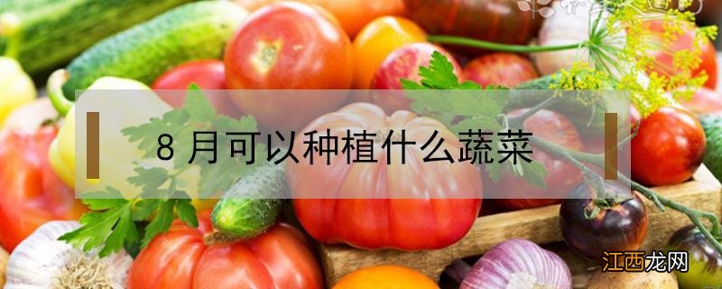 8月可以种植什么蔬菜 8月份可种植什么蔬菜