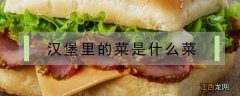 麦当劳汉堡里的菜是什么菜 汉堡里的菜是什么菜