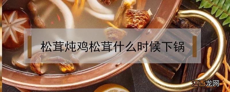 松茸炖鸡松茸什么时候下锅 松茸炖鸡松茸什么时候下锅煮多久