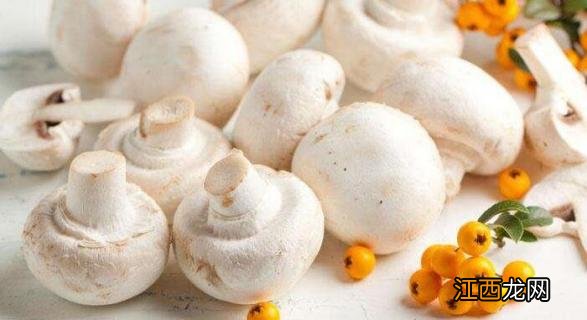 口蘑和牛排菇的区别 牛排菇是什么