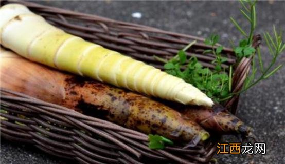 春笋和雷笋怎么分别 毛笋与雷笋的区别