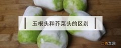 玉根头和芥菜头的区别 玉根头和芥菜头的区别图片