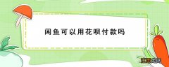 闲鱼付款可以用花呗支付吗 闲鱼可以用花呗付款吗