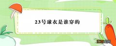 23号球衣是谁穿的 23号球衣是谁穿的NBA