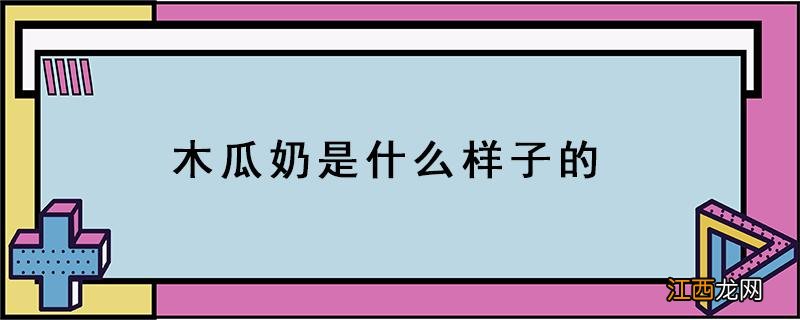 木瓜奶是什么样子的 牛奶木瓜是什么样子的