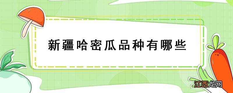 新疆哈密瓜品种有哪些 新疆哈密瓜有多少种