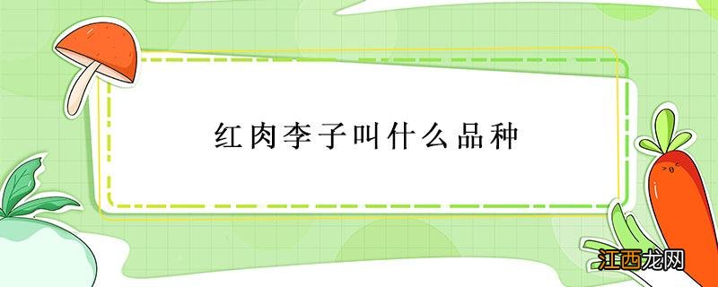 红肉李子叫什么品种 果肉红色的李子是什么品种