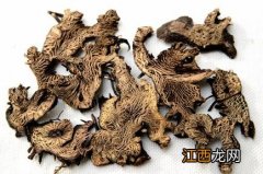 升麻图片大全大图野生升麻 升麻图片