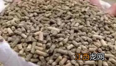 母猪管理方法 秋季母猪管理要点